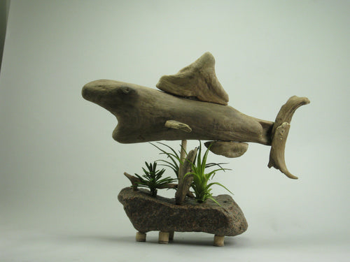 Driftwood Art
